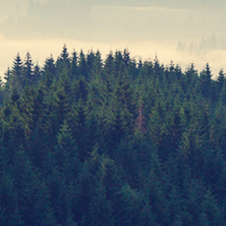 网站攻击工具手机版