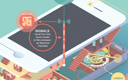 【商业版】授权的网页攻击软件